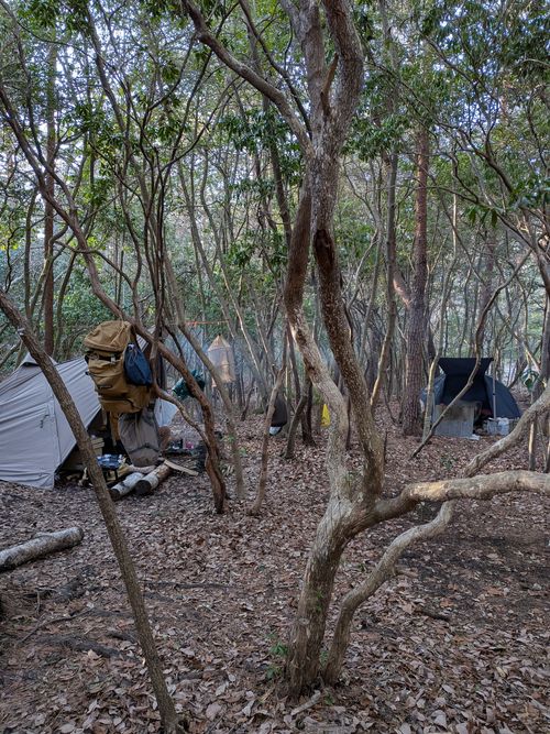 2026年　5泊目 PICA富士西湖 ソロキャンプ グループキャンプ フリーサイト アニさんのキャンプブログ CAMPiii（キャンピー） -キャンプ専用SNS キャンプのすべてがここに集まる-