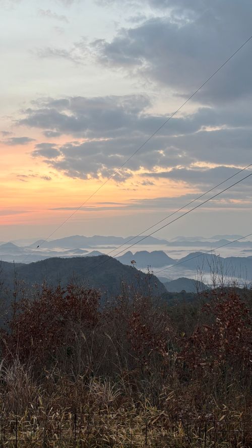 ファミリーキャンプ 三原市 棲真寺山オートキャンプ場 ファミリーキャンプ 区画サイト レッドロビンさんのキャンプブログ CAMPiii（キャンピー） -キャンプ専用SNS キャンプのすべてがここに集まる-