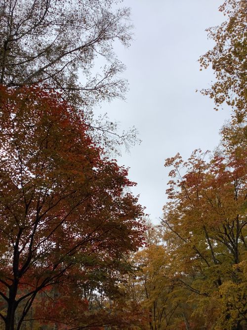 Vol.105 25/NO.24 笛吹小屋キャンプ場〜中津峡〜〆ホルモン屋‼️ 笛吹小屋キャンプ場 ソロキャンプ 区画サイト 🔥焚き火🔥さんのキャンプブログ CAMPiii(キャンピー) -キャンプ専用SNS キャンプのすべてがここに集まる-