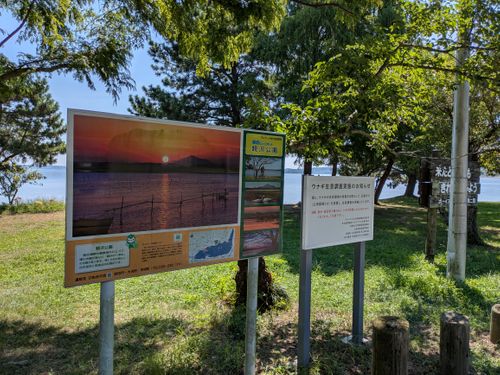避暑地認定 親沢公園キャンプ場 ソロキャンプ フリーサイト geenさんのキャンプブログ CAMPiii（キャンピー） -キャンプ専用SNS キャンプのすべてがここに集まる-