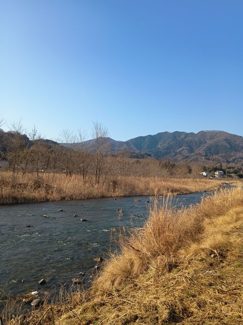 親子軍幕Session   角田大橋河川敷 ファミリーキャンプ フリーサイト ウエィダーさんのキャンプブログ CAMPiii（キャンピー） -キャンプ専用SNS キャンプのすべてがここに集まる-