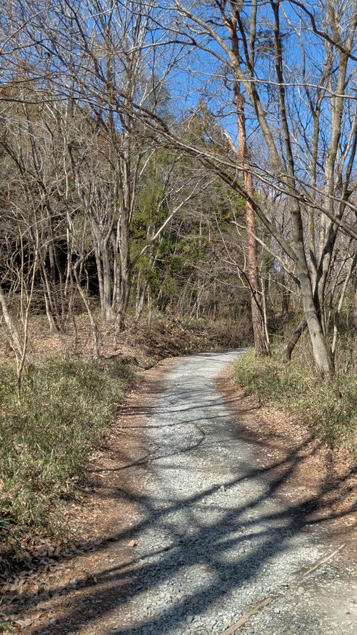 山散歩キャンプ ともえ川Park グループキャンプ 区画サイト オートサイト IZUIZUさんのキャンプブログ CAMPiii（キャンピー） -キャンプ専用SNS キャンプのすべてがここに集まる-