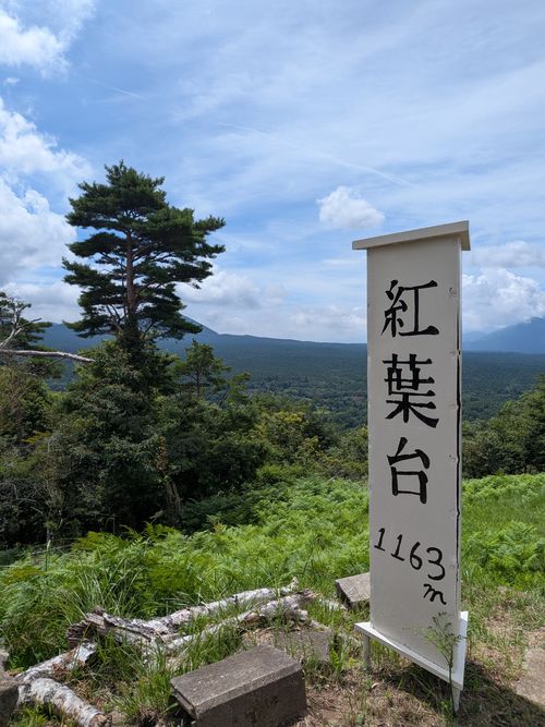 1年ぶりの本栖湖 本栖湖いこいの森キャンプ場 グループキャンプ 区画サイト オートサイト IZUIZUさんのキャンプブログ CAMPiii（キャンピー） -キャンプ専用SNS キャンプのすべてがここに集まる-