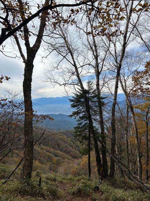 誘われて大菩薩嶺(自分は車中泊😆) 大菩薩嶺 ソロキャンプ グループキャンプ Genさんのキャンプブログ CAMPiii（キャンピー） -キャンプ専用SNS キャンプのすべてがここに集まる-
