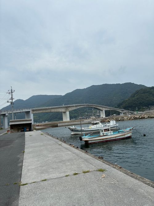 2025年12回目は、島キャン🏝️ 沖家室シーサイドキャンプ場 ファミリーキャンプ 区画サイト オートサイト わいげさんのキャンプブログ CAMPiii(キャンピー) -キャンプ専用SNS キャンプのすべてがここに集まる-