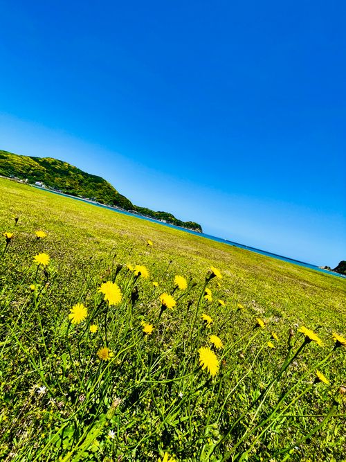 ひっさしぶりぶりの&hellip;完ソロおじキャン△ in 阿川ほうせんぐり海浜公園 〜 CAMP NO.189 阿川ほうせんぐり海浜公園 ソロキャンプ フリーサイト おじキャン△さんのキャンプブログ CAMPiii（キャンピー） -キャンプ専用SNS キャンプのすべてがここに集まる-