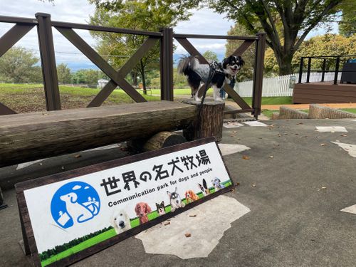 嵐が来る前に🌀 JUTE CAMP FIELD（ジュートキャンプフィールド） ファミリーキャンプ オートサイト Kojiさんのキャンプブログ CAMPiii（キャンピー） -キャンプ専用SNS キャンプのすべてがここに集まる-