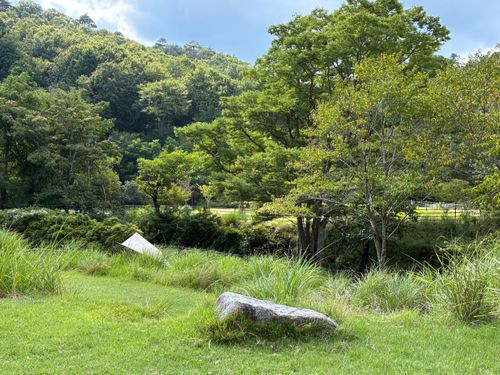 初キャンプ🏕️ スノーピーク箕面キャンプフィールド ソロキャンプ 区画サイト spiceさんのキャンプブログ CAMPiii（キャンピー） -キャンプ専用SNS キャンプのすべてがここに集まる-