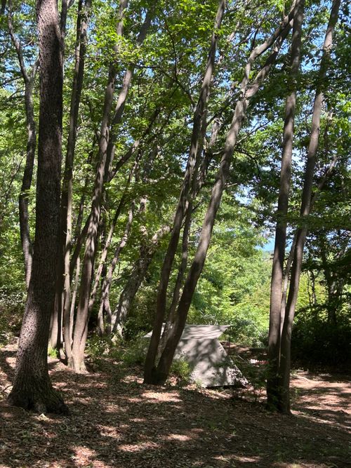 3週連続ソロキャンプ🏕️ CAMP BEAN ソロキャンプ 区画サイト Genさんのキャンプブログ CAMPiii（キャンピー） -キャンプ専用SNS キャンプのすべてがここに集まる-