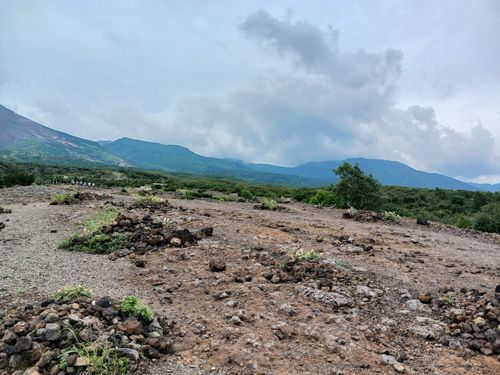 北海道の旨い!を食べるC△mp旅’ 2025(1 of 4) 北海道 ファミリーキャンプ キャンピングカー vios outdoor'sさんのキャンプブログ CAMPiii(キャンピー) -キャンプ専用SNS キャンプのすべてがここに集まる-