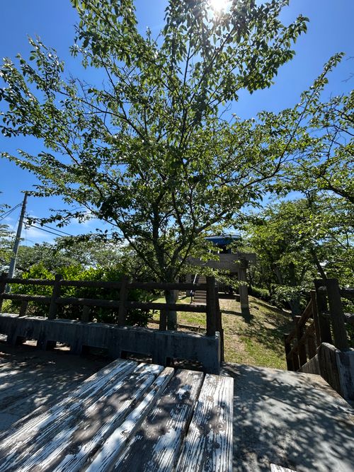 前日宅呑み中🍺思いたっての低山ハイク🥾 大楠山 ソロキャンプ Genさんのキャンプブログ CAMPiii（キャンピー） -キャンプ専用SNS キャンプのすべてがここに集まる-