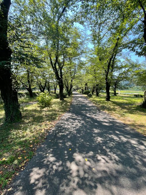 久しぶりの上大島の木陰でデュオキャン! 上大島キャンプ場 ソロキャンプ グループキャンプ フリーサイト ma9さんのキャンプブログ CAMPiii(キャンピー) -キャンプ専用SNS キャンプのすべてがここに集まる-