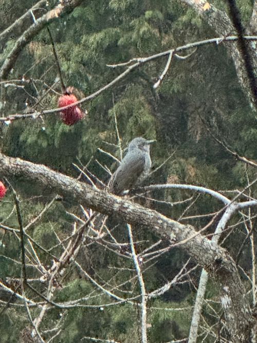 火の粉に泣いたソロキャンプ TAKIBIYA camp field ソロキャンプ 区画サイト yoshiさんのキャンプブログ CAMPiii（キャンピー） -キャンプ専用SNS キャンプのすべてがここに集まる-