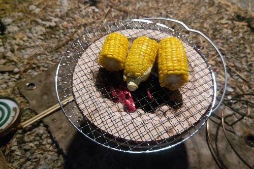 108回目のキャンプは庭だった。 ソロキャンプ フリーサイト サイババ-SBBcampさんのキャンプブログ CAMPiii（キャンピー） -キャンプ専用SNS キャンプのすべてがここに集まる-