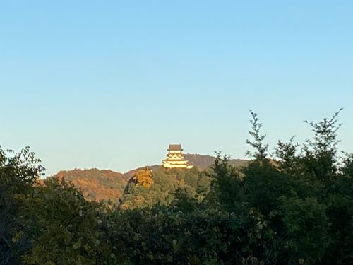 2025年キャンプ納め 伊木山フォレスト ファミリーキャンプ オートサイト だっちーさんのキャンプブログ CAMPiii（キャンピー） -キャンプ専用SNS キャンプのすべてがここに集まる-