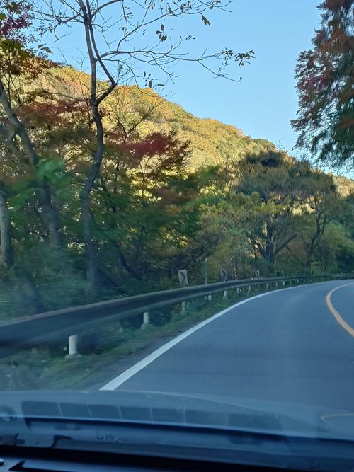 絶景を求めても、引きこもります いなかの風 ソロキャンプ 区画サイト hare75さんのキャンプブログ CAMPiii（キャンピー） -キャンプ専用SNS キャンプのすべてがここに集まる-