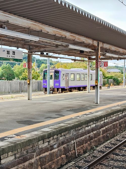 失敗ばかりでもええんよ 山八キャンプ場 ソロキャンプ フリーサイト おっとまんSさんのキャンプブログ CAMPiii（キャンピー） -キャンプ専用SNS キャンプのすべてがここに集まる-