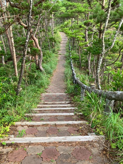 2026年2回目 休暇村気仙沼大島 ソロキャンプ フリーサイト はいはいさんのキャンプブログ CAMPiii（キャンピー） -キャンプ専用SNS キャンプのすべてがここに集まる-