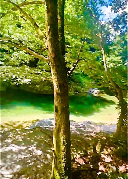 夏だ！川遊びだ！華麗に泳ぐきなこと おじおば🐰キャン△ in 須川家族村オートキャンプ場 〜 CAMP NO.201 須川家族村オートキャンプ場 ファミリーキャンプ グループキャンプ 区画サイト おじキャン△さんのキャンプブログ CAMPiii（キャンピー） -キャンプ専用SNS キャンプのすべてがここに集まる-