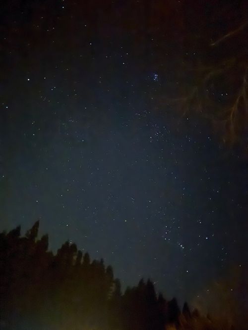 2026キャンプ始め 9.BASE ファミリーキャンプ 区画サイト moreAiさんのキャンプブログ CAMPiii（キャンピー） -キャンプ専用SNS キャンプのすべてがここに集まる-