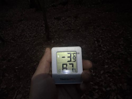 春の始まりキャンプ PICA富士西湖 ソロキャンプ グループキャンプ 区画サイト フリーサイト まっつんさんのキャンプブログ CAMPiii（キャンピー） -キャンプ専用SNS キャンプのすべてがここに集まる-