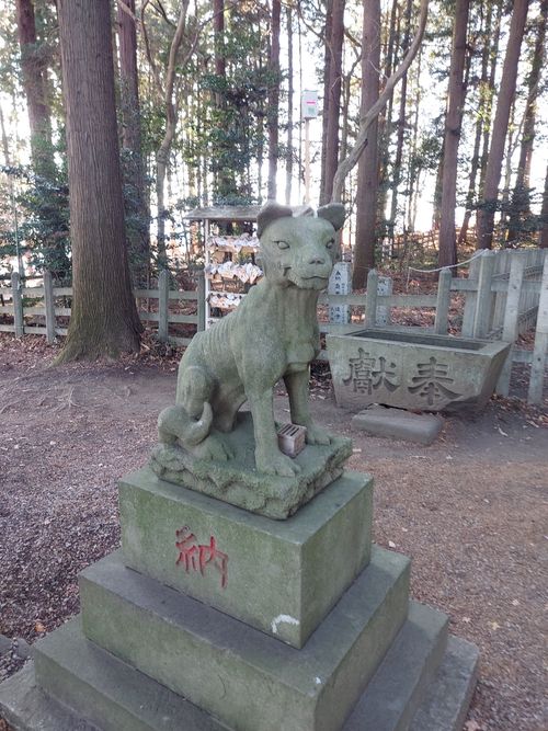 明けましておめでとうございます🎍年越しで狼さんに会いに行ったけどちとヘコんだキャンプ⛺ フォレストサンズ長瀞 ソロキャンプ 区画サイト ひろ16さんのキャンプブログ CAMPiii（キャンピー） -キャンプ専用SNS キャンプのすべてがここに集まる-