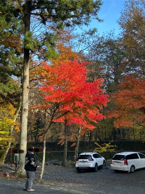 紅葉🍁キャンプ 山伏オートキャンプ場 ソロキャンプ グループキャンプ 区画サイト Genさんのキャンプブログ CAMPiii（キャンピー） -キャンプ専用SNS キャンプのすべてがここに集まる-
