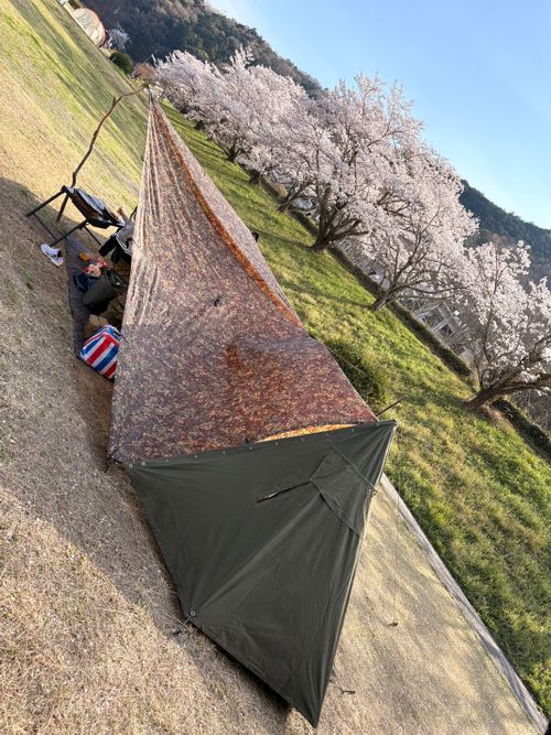 CAMPiii（キャンピー） camping roll♪さんのキャンプブログ 春爛漫🌸Camp♪♪ 宮川内公園
