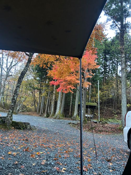 紅葉🍁キャンプ 山伏オートキャンプ場 ソロキャンプ グループキャンプ 区画サイト Genさんのキャンプブログ CAMPiii（キャンピー） -キャンプ専用SNS キャンプのすべてがここに集まる-