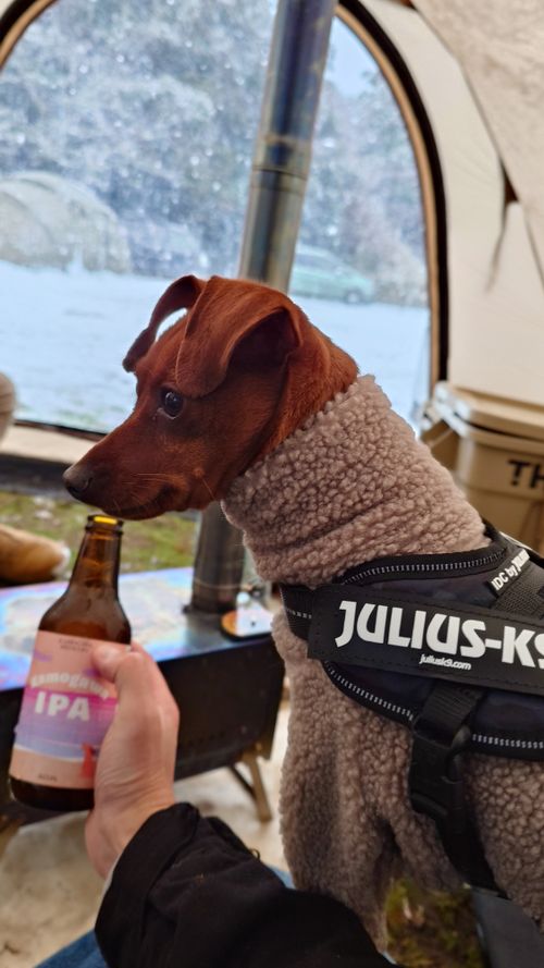 思いがけない雪中キャンプ！ UJackむつざわオートキャンプ場（泊地） ソロキャンプ グループキャンプ 区画サイト まーささんのキャンプブログ CAMPiii（キャンピー） -キャンプ専用SNS キャンプのすべてがここに集まる-