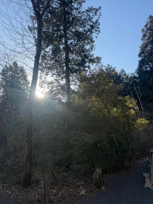 久しぶりの穏やかなキャンプ Foresters Village Kobitto あさぎりキャンプフィールド ソロキャンプ オートサイト 区画サイト ちはみなさんのキャンプブログ CAMPiii（キャンピー） -キャンプ専用SNS キャンプのすべてがここに集まる-