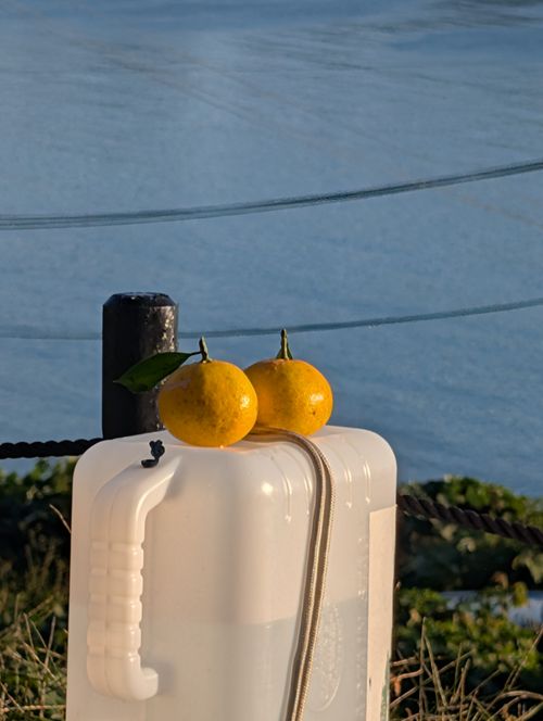 良い天気の上蒲刈島 かじかじテラスcampfield ソロキャンプ 区画サイト ともっちさんのキャンプブログ CAMPiii（キャンピー） -キャンプ専用SNS キャンプのすべてがここに集まる-