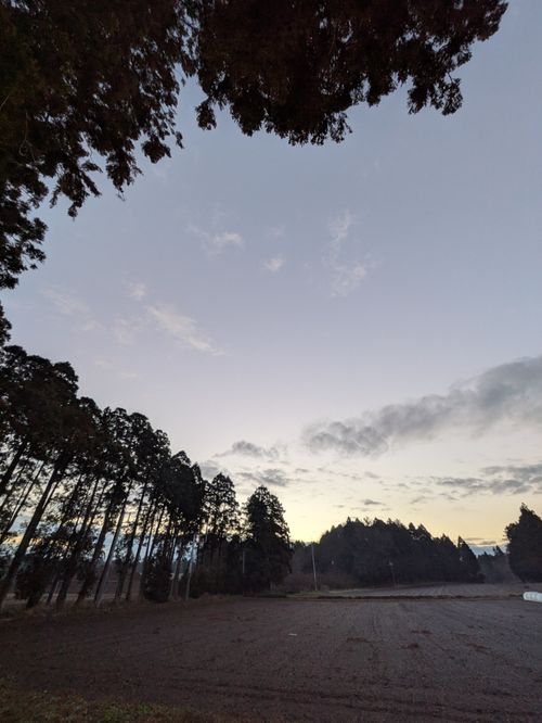 【粕汁✕ハツ串✕クラフトビール】千葉の楽々ガーデン ソロキャンプ フリーサイト MOTO△CAMPさんのキャンプブログ CAMPiii（キャンピー） -キャンプ専用SNS キャンプのすべてがここに集まる-