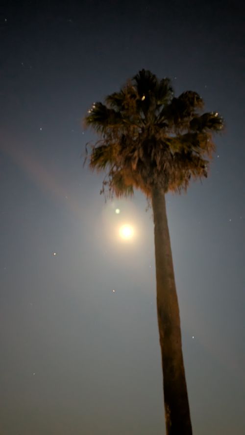 久しぶりの連泊キャンプ（ハーモニーランド付き） 野遊び浜キャンプ場 ファミリーキャンプ フリーサイト ヒゲキャンさんのキャンプブログ CAMPiii（キャンピー） -キャンプ専用SNS キャンプのすべてがここに集まる-