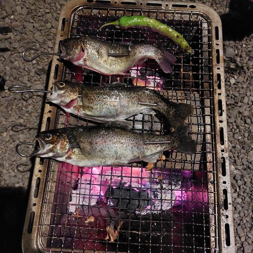 健忘録（2泊3日）息子も一緒 ニュー田代オートキャンプ場 ファミリーキャンプ 区画サイト こば  さんのキャンプブログ CAMPiii（キャンピー） -キャンプ専用SNS キャンプのすべてがここに集まる-