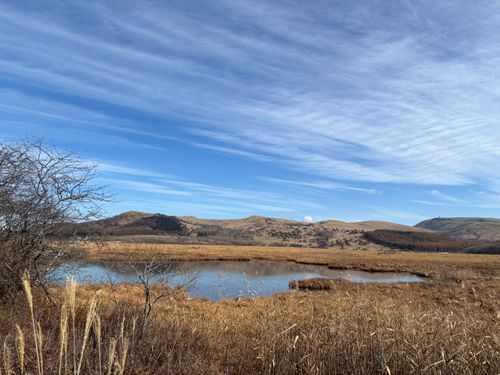 標高1500m天空のキャンプ場✩.*˚からの思い出の霧ヶ峰でフラット登山🚶🏽‍♂️🚶‍♀️ CAMP SKY FIELD-車山オートキャンプ場 区画サイト Jimko☆さんのキャンプブログ CAMPiii（キャンピー） -キャンプ専用SNS キャンプのすべてがここに集まる-
