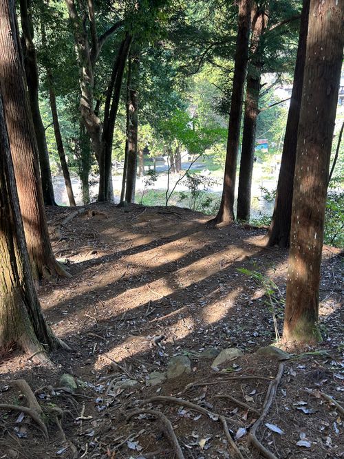 久しぶりのWOODSMAN WOODSMAN CAMPGROUND ソロキャンプ フリーサイト Genさんのキャンプブログ CAMPiii（キャンピー） -キャンプ専用SNS キャンプのすべてがここに集まる-