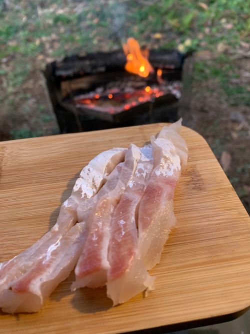 以前のキャンプで恐縮です。明日からのキャンプに向けて気分アゲ投稿 negura campground ソロキャンプ フリーサイト ASAPさんのキャンプブログ CAMPiii（キャンピー） -キャンプ専用SNS キャンプのすべてがここに集まる-