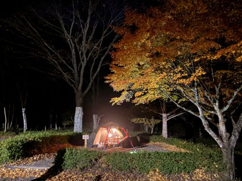 ①季節外れのUNAGI とDONABEで米を炊く🌾 ②ボージョレ・ヌーボー解禁日🍷にキャンプ🏕️ ③4年前と同じ場所で紅葉狩り🍁 大久保キャンプ場 ソロキャンプ 区画サイト waccy0441さんのキャンプブログ CAMPiii（キャンピー） -キャンプ専用SNS キャンプのすべてがここに集まる-