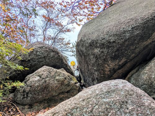 取れ高求めて三千里。 笠置キャンプ場 ソロキャンプ グループキャンプ フリーサイト ぞのさんさんのキャンプブログ CAMPiii（キャンピー） -キャンプ専用SNS キャンプのすべてがここに集まる-