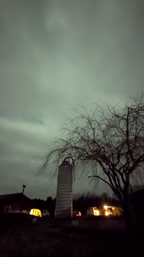 おっさんずグル＠玖珠の杜🏕️バニーちゃんもいるよ👯👯 キャンプ&農園 玖珠の杜 ソロキャンプ グループキャンプ フリーサイト オートサイト ヒゲキャンさんのキャンプブログ CAMPiii（キャンピー） -キャンプ専用SNS キャンプのすべてがここに集まる-