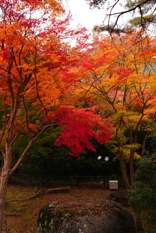 全国旅キャンプ第11弾は京都編 笠置キャンプ場 ソロキャンプ ファミリーキャンプ グループキャンプ フリーサイト ENJOY THE OUTDOORSさんのキャンプブログ CAMPiii（キャンピー） -キャンプ専用SNS キャンプのすべてがここに集まる-