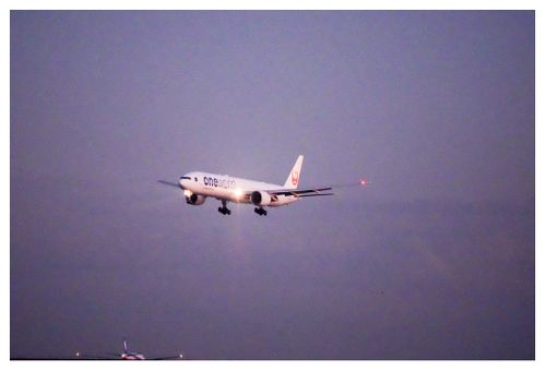 久しぶりのホーム GROVE camping hill ソロキャンプ ファミリーキャンプ グループキャンプ 区画サイト フリーサイト オートサイト ENJOY THE OUTDOORSさんのキャンプブログ CAMPiii（キャンピー） -キャンプ専用SNS キャンプのすべてがここに集まる-