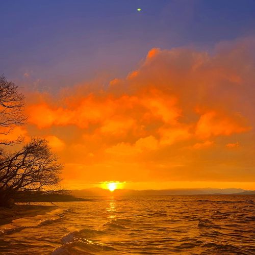 湖畔キャンプin琵琶湖🏕 ビワコマリンスポーツオートキャンプ場 ソロキャンプ 区画サイト オートサイト S🎐🍃さんのキャンプブログ CAMPiii（キャンピー） -キャンプ専用SNS キャンプのすべてがここに集まる-