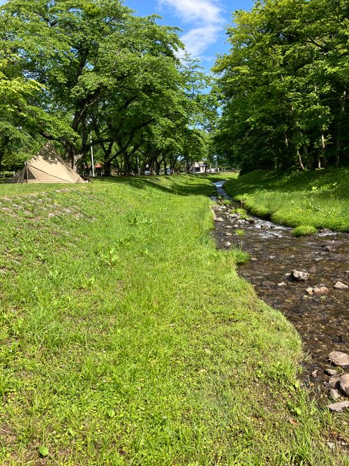 久しぶりの長万部公園キャンプ場 ソロキャンプ フリーサイト siroさんのキャンプブログ CAMPiii（キャンピー） -キャンプ専用SNS キャンプのすべてがここに集まる-