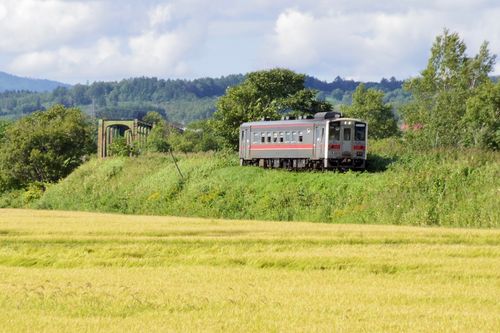 忘れ物だらけキャンプ🏕️ まあぶオートキャンプ場 ファミリーキャンプ オートサイト Train Photographer TAKAさんのキャンプブログ CAMPiii(キャンピー) -キャンプ専用SNS キャンプのすべてがここに集まる-