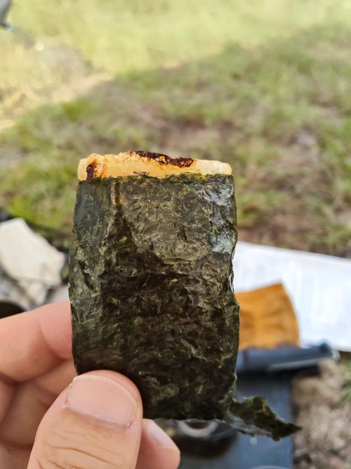 ちょっとハイク 笠置キャンプ場 ソロキャンプ フリーサイト おっとまんSさんのキャンプブログ CAMPiii（キャンピー） -キャンプ専用SNS キャンプのすべてがここに集まる-