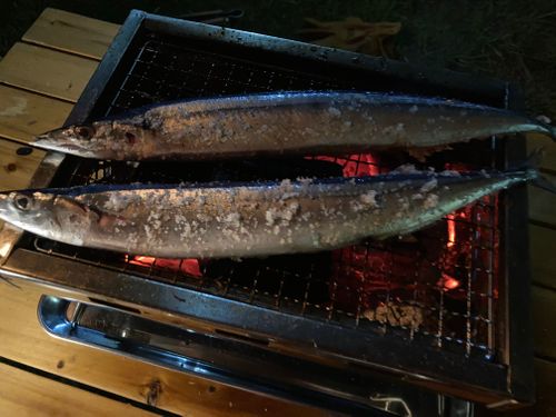 山口県お邪魔します🙇‍♂️ 須佐湾エコロジーキャンプ場 ファミリーキャンプ オートサイト masaさんのキャンプブログ CAMPiii（キャンピー） -キャンプ専用SNS キャンプのすべてがここに集まる-