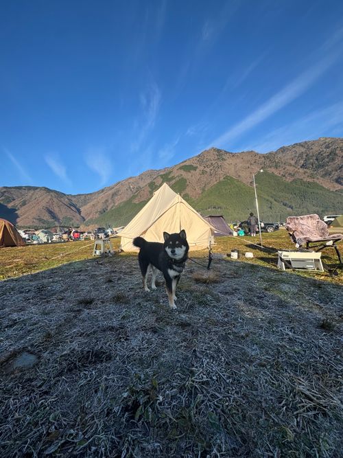 今月2回目⛺️今回も天気に恵まれて最高 ふもとっぱらキャンプ場 ソロキャンプ フリーサイト OYAKATAさんのキャンプブログ CAMPiii（キャンピー） -キャンプ専用SNS キャンプのすべてがここに集まる-