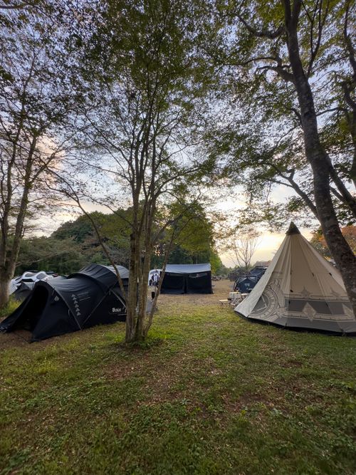 CAMPiii（キャンピー） skitさんのキャンプブログ イベントじゃない村山 村山ジャンボキャンプ場 林間サイト